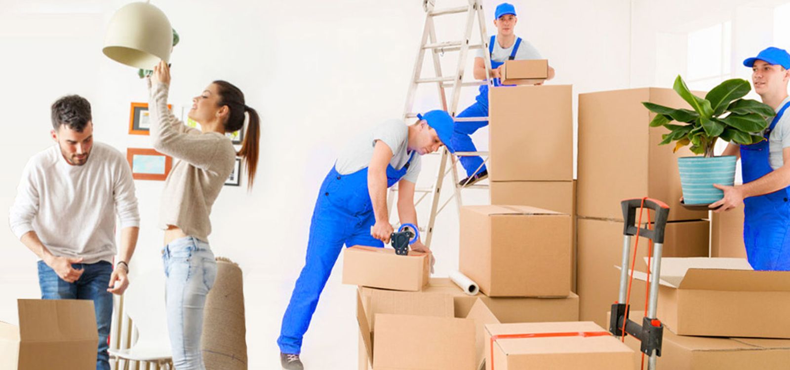 Doha Qatar Moving and Shifting moving project